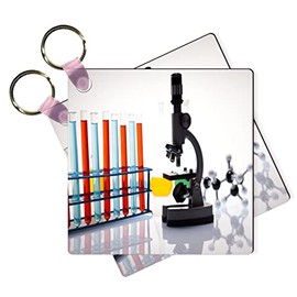 Sam Sandor Biology Chemistry Vials Test Tubes Pink Key Chains - 2.25 Inch Square - Keychains (Set of 2)