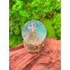 Onwomania Meerkat Surikate Scarrtier Height 6.5 cm Snow Globe Glitter