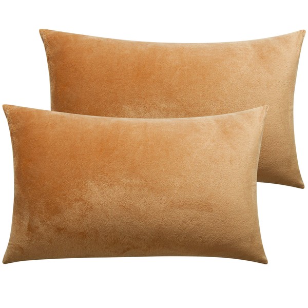 NTBAY 2 Pack Zippered Velvet Standard Pillowcases, Super Soft and