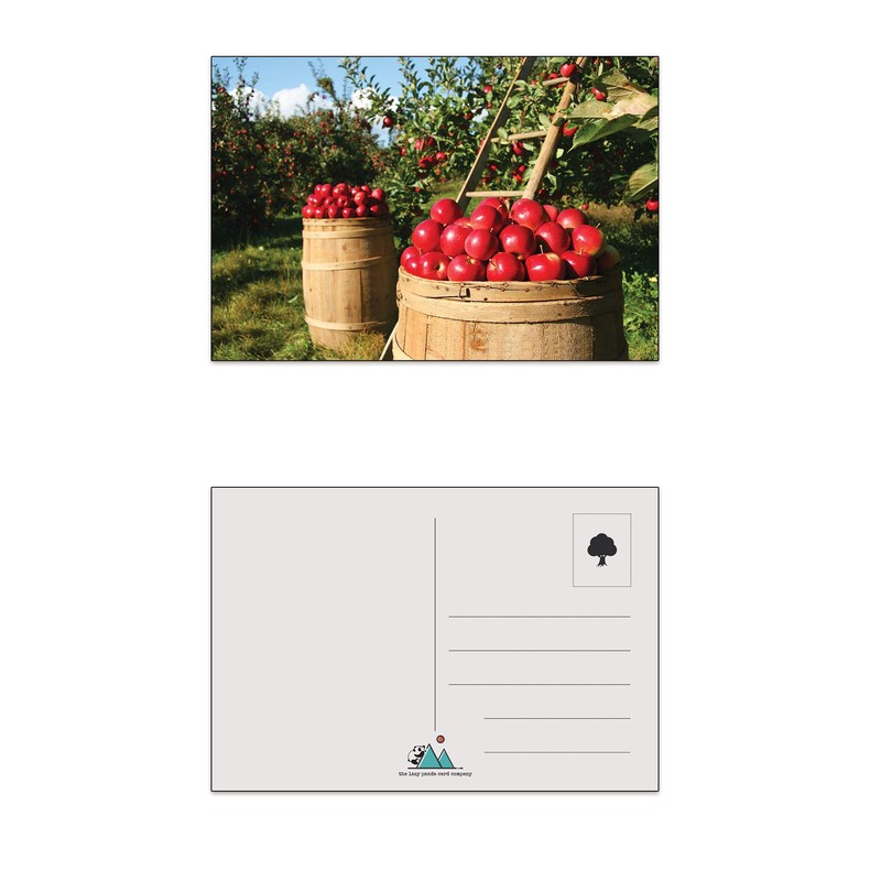 Landscapes Postcards - 100 Different Postcards…