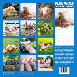 2025 Piglets Monthly Wall Calendar | 12" x 24" | Thick Sturdy Paper | Cute Animals Calendar 2024-2025