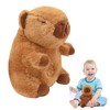 DHINCHANSAIB 23 cm Capybara Plush Toy, Cute Capybara Plushie Can