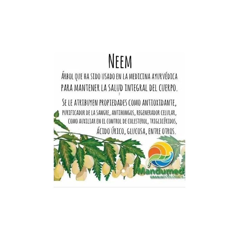 5 Pastas Dentales Neem Concarbón Activado Sin Flúor Mandumed