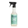 Mrs. MEYER'S CLEAN DAY Multi-Surface Everyday Cleaner Mint Scent, 16