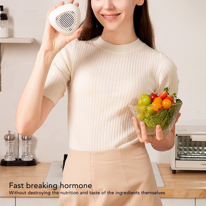 Fruit Vegetable Purifier Intelligent Portable Fruit Vegetable Cleaner Device for