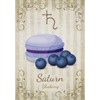 Astro Macaron Oracle Cards