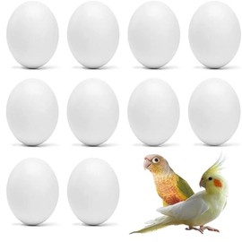 10pcs Solid Parrot Plastic Fake Eggs Realistic Simulated Fake Bird Eggs for Hatching Mini Macaw Cockatoo African Grey Eclectus Trick Birds to Stop Laying Eggs