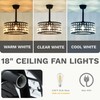 DWVO 18" Crystal Caged Ceiling Fans with Lights, Enclosed Modern