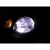 XenTec 9006 12000K HID Xenon Bulb (1 Pair, Blue Violet