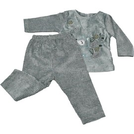 Baby Clothes Unisex 2pc top and bottom set, Embroidery Cartoon Character Outfit Infant Clothing, Velvelet Kids Body Suit Toddler Suit Long Sleeve Suit + Pants (Foxset Green- 9 Months)