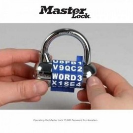 Master Lock 1534D Combination Luggage Lock Random Color