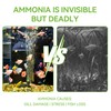Yiffer 75-Count Ammonia Test Strips for Fish Tank, Freshwater &
