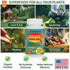 Organic Tropical Plant Fertilizer by Gardenera - 16 oz -