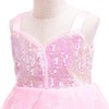 Dressy Daisy Girls Princess Dress Wicked Costume, Sparkly Pink Sequin