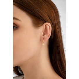 Serenity Sleepers 24K Gold Plated 925 Solid Sterling Silver Sleeper Huggie Hoop Charm Earrings For Women | Round Micro Pave | Dainty Zirconia Earrings - Mini Round Pave Hoops