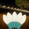 Novelty Lights 25FT C9 LED Transparent Plastic Christmas Lights (25