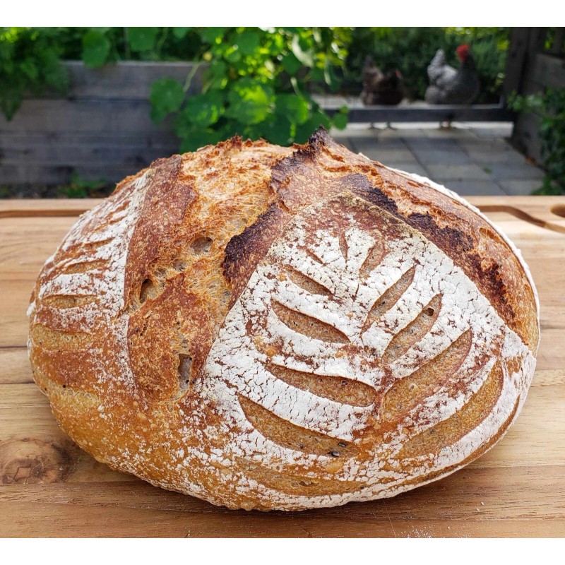 Heritage Sourdough Dehydrated Sourdough Starter 1849 Boudin Baker's San Francisco