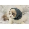 DDFS Cat Ear Cover Ear Wrap Hematoma Compression Keep Calm