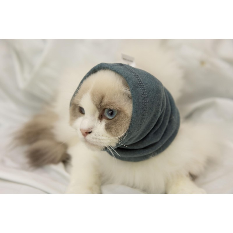 DDFS Cat Ear Cover Ear Wrap Hematoma Compression Keep Calm