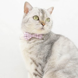 Bowtie Cat Collars Breakaway with Bell, Adjustable Cute Kitty Collars Safety Buckle Kitten Collar for Cat Puppy 7.5-11in (Purple Plaid)