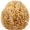 Givereldi Power Exfoliator Natural Sea Sponge - Strong, Durable, Unbleached,