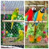 Rattan Weaving Bird Swing Hammock with Stand - Climbing,for Parakeets,