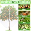 Vincreem 10 x 10 FT Large Fruit Tree Netting Bags