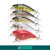 ELBFANG Crankbait Wobbler Set, 13 g, 7.5 cm, Perch Pike