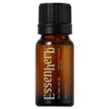 Essenherb tea tree 100 oil, 10ml, 1 piece / 에센허브 티트리 100 오일, 10ml, 1개