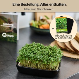Otaro Cress Propagation Trays Including Cress Seeds (Black) | Get Started | Elegant Cress Sieve, Germination Bowls for Sprouts, Germination Bowl | Perfect as a Thank You Gifts (Premium Ceramic Set)
