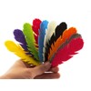 Summer-Ray 50pcs Mixed Color Felt Feather Laser Cut Embellishment Value