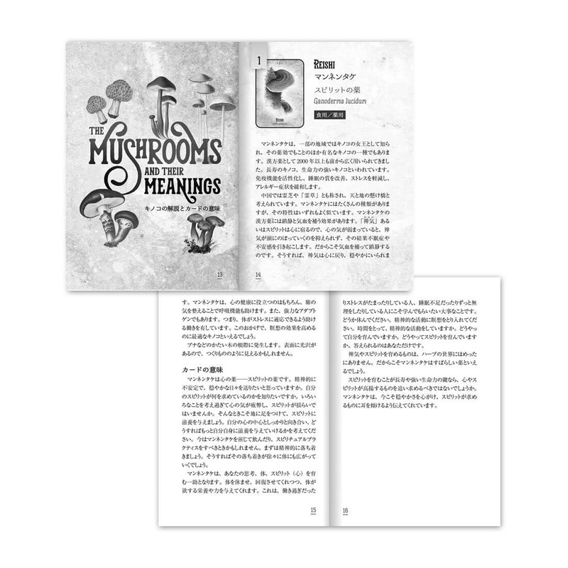 Oracle Card, Japanese Divination, Mushroom, Spirit, Oracle Card, Japanese Instruction