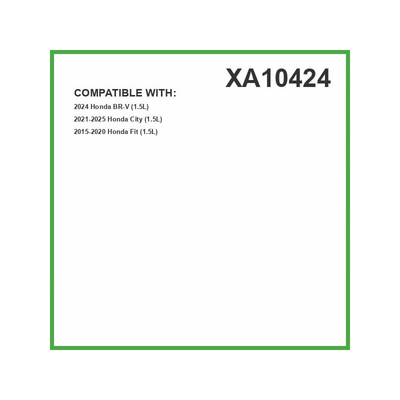 EcoGard Filtro de Aire de Motor XA10424 para Honda Fit