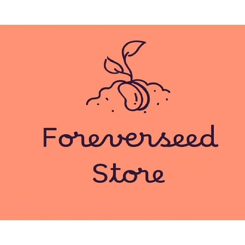 Non GMO Wheatgrass Seed for Sprouting or Cat Grass USA