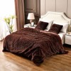 YUSOKI Brown Queen Faux Fur Blanket,2 Layers,90"x90" Without Pillows Big