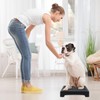 Dog Training Place Board with Non-Skid Surface, Dog Platform for