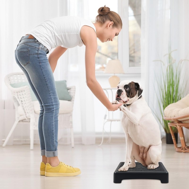 Dog Training Place Board with Non-Skid Surface, Dog Platform for