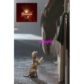 Unbranded CLYDESDALES #2 REFRIGERATOR MAGNET CHRISTMAS BUDWEISER BEER HORSE MAN CAVE GIFT