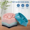 Slow Feeder Bowl for Dogs and Cats with Clean Brush,