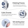 Pandach 12 Zodiac Sign Birthday Charms 925 Sterling Silver Birthstone