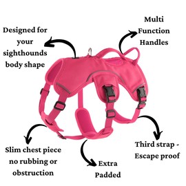 Snootiful Hound Sighthound Harness for Greyhounds, Whippets and Lurchers - Escape Proof Dog Harness - 3 Point Harness - Padded, No Escape, Non Slip (Pink, Medium)