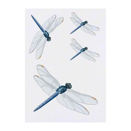4 x 'Dragonfly' Temporary Tattoos - Water Resistant, Skin-Safe, Non-Toxic Transfers, Mixed Sizes (TO00035129)