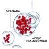 Garnier Mascarilla Facial Granada Con Ácido Hialurónico