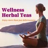 FullChea - Milk Thistle Tea Bags, 100 Count - Natural