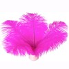 Piokio Piokio 20 pcs Fuchsia Ostrich Feathers Plumes 8-10 inch(20-25