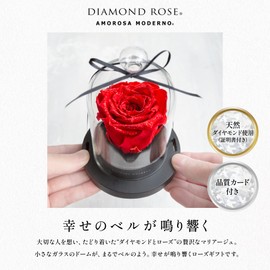 AMOROSA AM19-30 Amorosa Preserved Flower Diamond Rose Little Bell Bright Red Flower Birthday Anniversary Father's Day Proposal Graduation Retirement