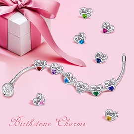 FOREVER QUEEN Women's Heart Birthstone Charm for Bracelet 925 Sterling Silver Heart Infinity Charms Bead, Birthday Gift With Jewelry Box (December Birthstone)