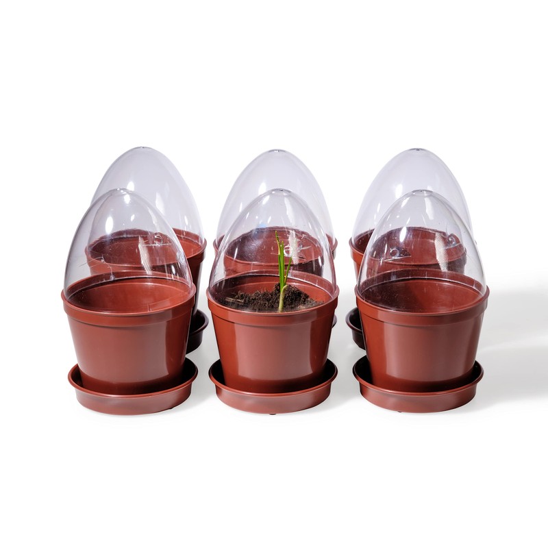 Kimmel Propagation Pots Set of 6, Without Storage Box, 6