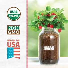 Back to the Roots Organic Strawberry Grow Kit — Grows Year Round, Includes Everything Needed for Planting