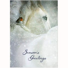 Horse And Robin Christmas Cards - Pack Of 10 - One design